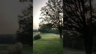 Sleepy Hollow on a random morningnature asmr foryou [upl. by Kannan]