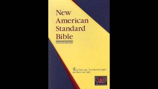 First Book of Samuel NASB Audio Bible Non Dramatized [upl. by Port]