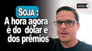 Soja  quota hora agora é do dólar e dos prêmiosquot orienta Maurício Bellinelo [upl. by Davey]