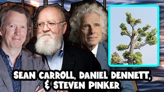 Does Physics Show that the Universe is Conscious  Sean Carroll Daniel Dennett amp Steven Pinker [upl. by Sungam]