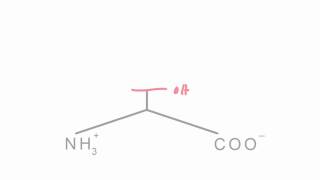 Memorize the 20 amino acids in 20 minutes Part 1 [upl. by Tekla904]