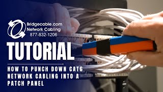 How to Punch Down CAT6 Network Cabling into a Patch Panel  BridgeCablecom [upl. by Cleland]