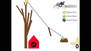 Tree Rigging  Speedline Basics  TreeStuffcom Arborist 101 [upl. by Idnem]