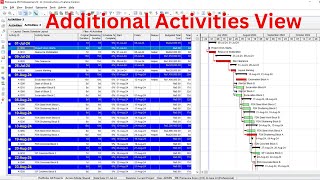 Additional Activities View in Primavera P6 [upl. by Lehplar148]