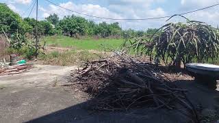 台電虧損您贊成提高電費或政府預算撥補呢想了解鄉下生活看法請訂閱分享謝謝 [upl. by Eelsnia677]