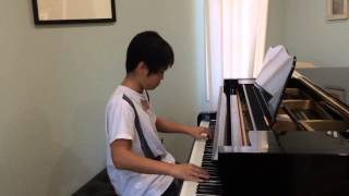 Clarity  Zedd Piano Cover l Sean Lew [upl. by Lirrad]