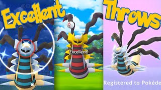 GIRATINA ORIGIN FORME Excellent Throws EVERY TIME How To Excellent Throws on GIRATINA  Pokémon Go [upl. by Kcid]