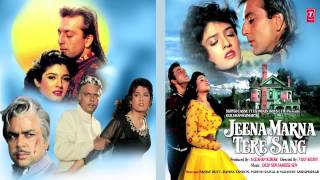 Tumse Hai Kitna Pyar Full Song Audio Jeena Marna Tere Sang Anuradha PVipin Sachdeva Sanjay Dutt [upl. by Hesky670]