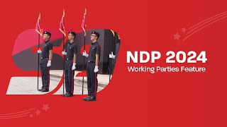 NDP 2024  Working Parties Feature [upl. by Glynda]