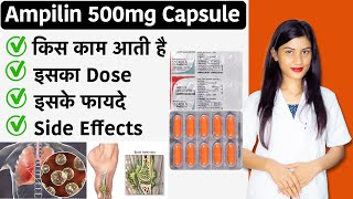 Ampicillin 500mg Capsule  Ampicillin Capsules Lp 500 Mg  Uses  Side Effects  Dose [upl. by Eiloj]