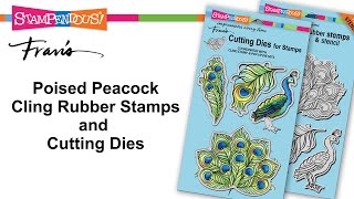 Poised Peacock Cling Rubber Stamps and Cutting Dies [upl. by Roper]