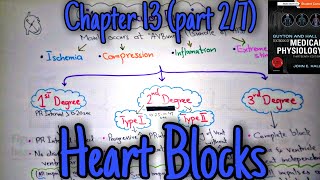 Heart blocks  chapter 13 part 27  Guyton and Hall text book of physiology [upl. by Narhem39]