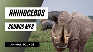 Rhinoceros Sounds mp3  the animal sounds rhinoceros sounds  sound effect  animation [upl. by Cyndi]