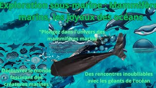 Plongée au cœur de locéan  Rencontre avec les stars des profondeurs  🌊🐋  Zoé amp Compagniequot [upl. by Redwine]