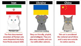 Cats From Different Countries [upl. by Saisoj]