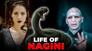 Story of Nagini How She Met Voldemort  Harry Potter Explained [upl. by Atiuqehc242]