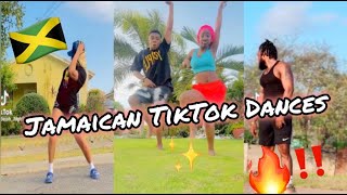 NEW JAMAICAN TIKTOK DANCE MASHUP 2024 [upl. by Ivatts]