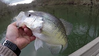 Crappie Fishing With Underspins  SLAB CRAPPIE [upl. by Ashmead]