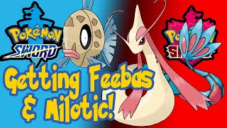 Pokemon Sword and Shield  How to get Feebas and Milotic PokemonSword PokemonShield Feebas [upl. by Tatiana534]