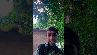 Namaskar nahin Karen naukari mere video ke dekhne ke liye follow Karen subscriber Karen [upl. by Notsuj]