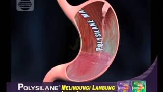 Iklan POLYSILANE MAXX  Melindungi Lambung Lebih Lama [upl. by Nolrah]