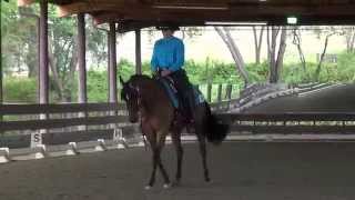 SRF Im Spotless amp Debbie Griffin  Western Dressage Basic Test 2 ICC Spring Show 2014 [upl. by Lenrad]