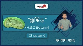 08 Plastid  Chloroplast  প্লাস্টিডের গঠন  ক্লোরোপ্লাস্ট  উদ্ভিদবিজ্ঞান ১ম অধ্যায় [upl. by Sidky676]