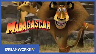 MADAGASCAR 3  Los Fugitivos  Clip Afro Circo [upl. by Larkins]