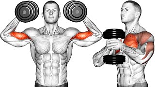 10 Best Dumbbell Exercises [upl. by Sedecrem248]