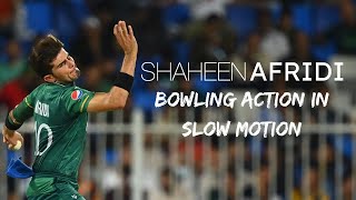 Shaheen Afridi Bowling Action  In Slow Motion  2021  Tarush Cricket [upl. by Renard]