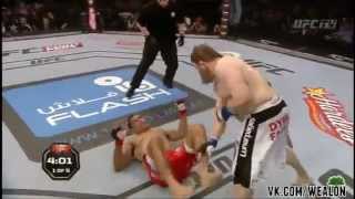 Antônio Rodrigo Nogueira vs Roy Nelson UFC Fight Night 40 full fight [upl. by Akener]