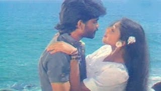 Vikram Movie Songs  Neevele Na Pranam  AkkineniNagarjuna Shobana Annapoorna [upl. by Enelad370]