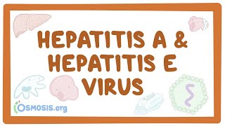 Hepatitis A and hepatitis E virus  causes symptoms diagnosis treatment pathology [upl. by Elana201]