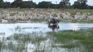 Filme  PANTANAL [upl. by Neelyahs]