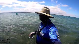 Land based fishing a drop off in Gippsland with lures [upl. by Melan]