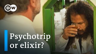 Ayahuasca boom in Brazil  Remedy or risk  DW Documentary [upl. by Ralfston]