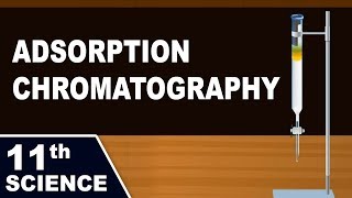 Adsorption Chromatography  11th Std  Chemistry  Science  Maharashtra Board  Home Revise [upl. by Elsinore]