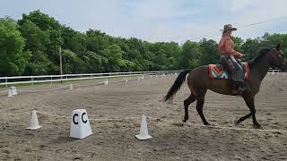 Western Dressage Basic Level Test 2 Nex Dor Noras first show score 70 [upl. by Jeanine812]