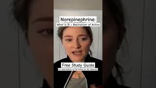 Vasopressors Norepinephrine How Does It Work Free Study Guide icunurse icu nurse [upl. by Hsan]