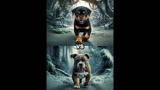 Rottweiler Puppy vs Pitbull puppy  German Shepherd Husky Doberman labrador retriever Pointer [upl. by Mortimer]