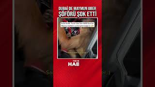 🔴Dubai De Maymun Uber Şöförü Şok Etti [upl. by Aonehc]