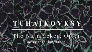 Tchaikovsky  The Nutcracker Op71  Coffee Arabian Dance [upl. by Nohsram]