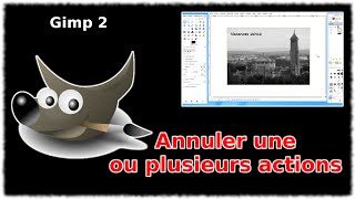 Tuto Annuler une ou plusieurs actions Gimp 28 [upl. by Kentiggerma59]