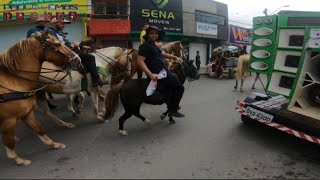 Passeata dos vaqueiros Surubim  PE [upl. by Brendin]