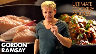 The Best amp Easiest CHICKEN Recipes Part 12  Gordon Ramsays Ultimate Cookery Course [upl. by Austine425]