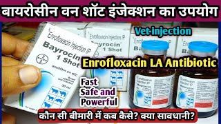 Bayrocin 1shotEnrofloxacin LA AntibioticInjection ka upyog pashuon Mein konsi Disease mein kare [upl. by Nylatsyrc567]