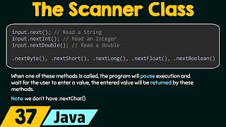 The Scanner Class in Java [upl. by Goldin]