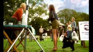 Razzamatazz Poodle TVC  AdNews [upl. by Lissner]