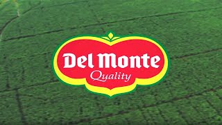 Fresh Del Monte Produce Inc Corporate Video [upl. by Ahsiek]