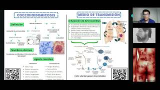 COCCIDIOIDOMICOSIS GRUPO D1 MICROBIOLOGÍA [upl. by Ellerihs212]